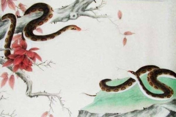 蛇形象暗藏巧妙之谋，十二生肖中隐藏着众多不作之人。-方知甜