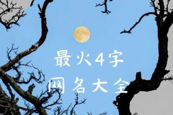 萧瑟倾城，四字网名优雅又好听-方知甜