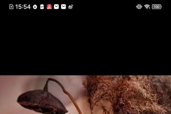 心细胆大妙聊，与MM共话人生-方知甜