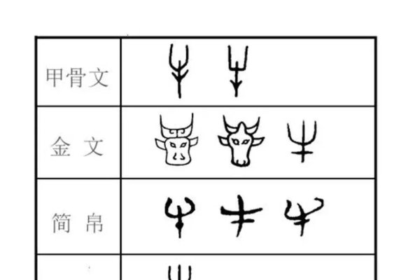 铜筋铁骨，龙牛皆可象征强健-方知甜