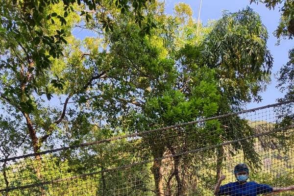 涪陵征婚，在山水间寻觅心灵的归宿-方知甜