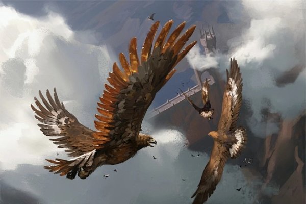 翅膀符号，探索自然与存在的多维图景-方知甜