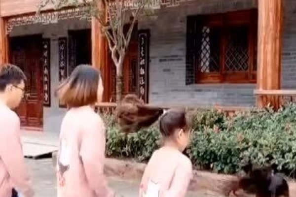 温馨小家庭群名，家的温暖，爱的汇聚-方知甜