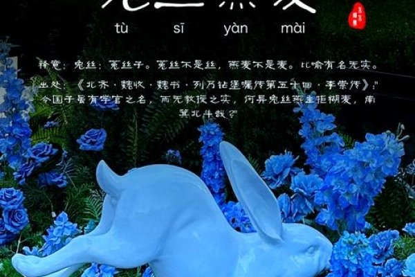 兔丝燕麦生肖相关-方知甜