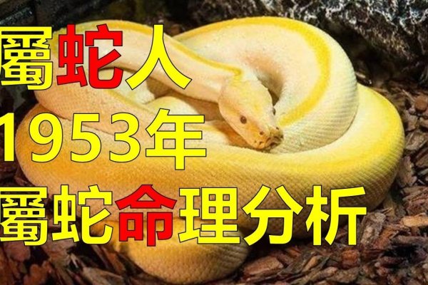 癸巳蛇年生肖起源-方知甜