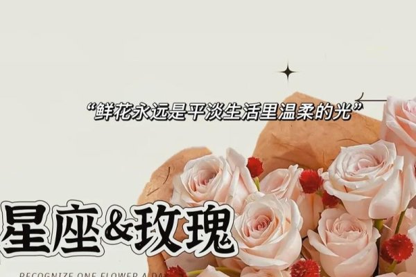 星座礼品，绽放独特光芒的甜蜜与浪漫-方知甜