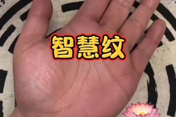 探索新派手相，科技与传统智慧的融合-方知甜