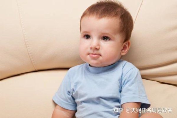 兔宝宝取名，寓意与创意的完美融合-方知甜