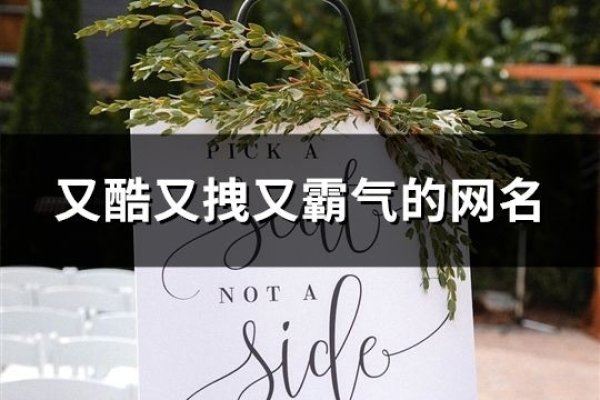 狂拽霸气的网名精选-方知甜