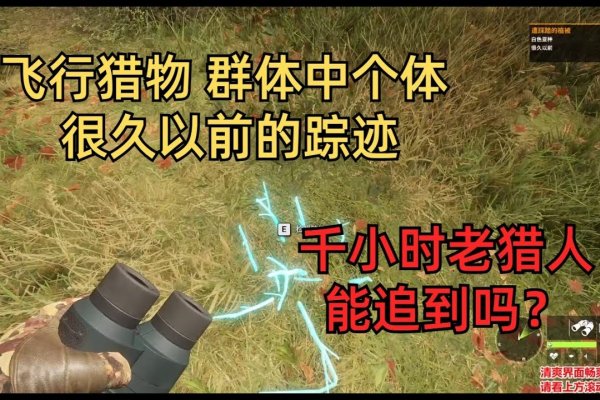 魔兽猎人名字，狂野追踪，精准猎杀-方知甜