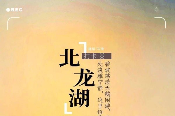 郑州聊天室，城市脉搏的线上交汇点-方知甜