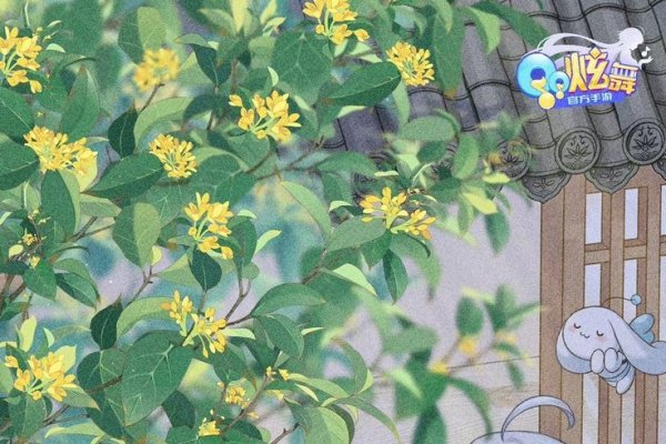 炫舞宠物名字大全，打造专属萌宠欢乐之旅-方知甜