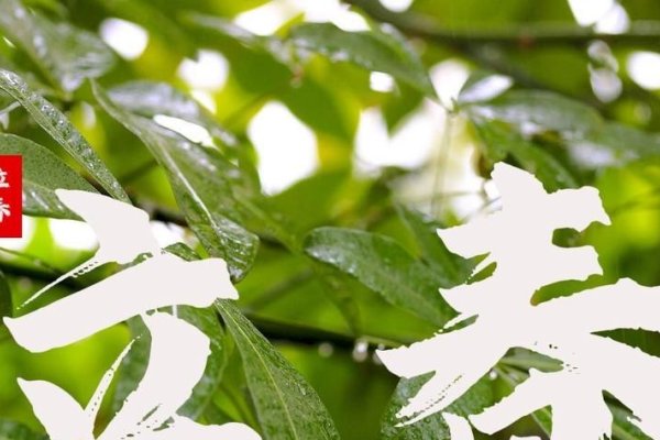 2015年立春-方知甜