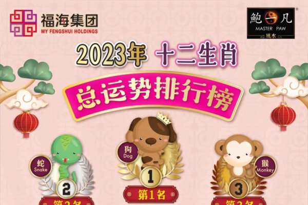 2023新12生肖，文化传承与个人属相解析，共筑智慧价值与社会进步的桥梁-方知甜