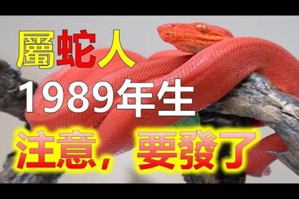 1989年生肖解析，土蛇之命，大林木运-方知甜