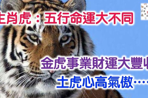 2012年属虎人，财运谨慎，事业外拓，龙争虎斗之年需和谐应对-方知甜