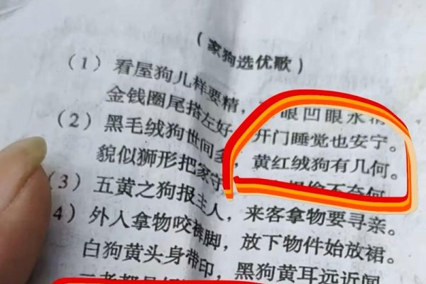 犬吠测吉凶，古老信仰与现代科学的交织-方知甜