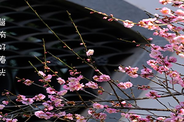 2014立春的由来与意义-方知甜