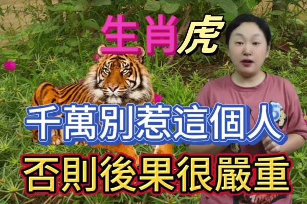 揭秘凶相毕露所指生肖，虎的威猛与真相暴露-方知甜
