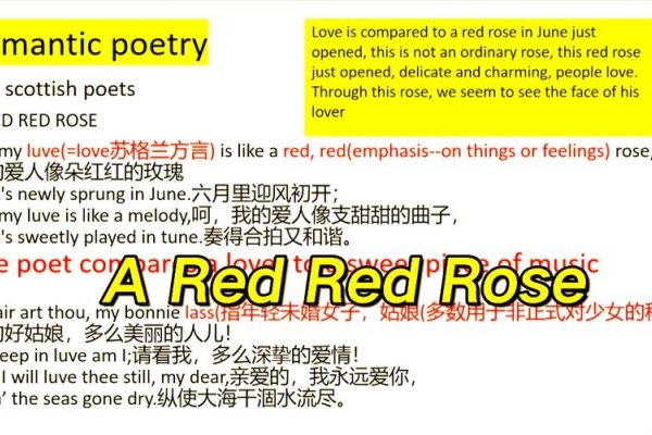 洛葛仙妮英文名有哪些？Roxanne的英文来源及情感意义-方知甜