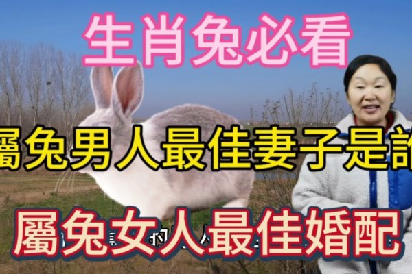 99属兔最佳结婚年龄及择偶建议-方知甜