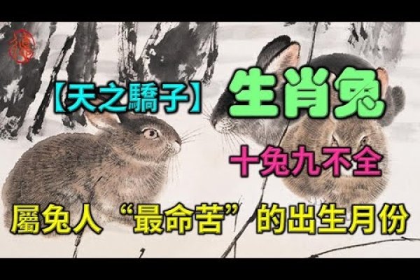 2000年属兔，生在卯月酉日。-方知甜