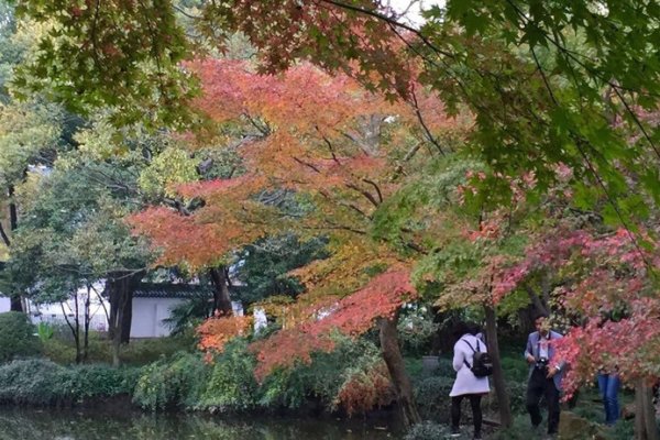 秋霞圃赏红叶，秋日美景摄影佳选-方知甜