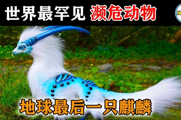麒麟宝宝成长的奇妙旅程,解读世界珍宝背后的生命密码-方知甜