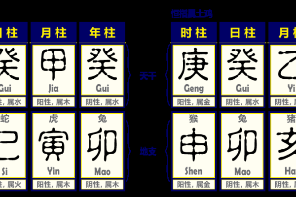 2023-2025年天干地支五行属性解析，水兔木相生，年度元素全览-方知甜