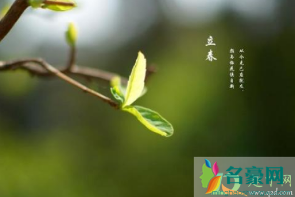 2021立春，生肖躲春指南，助您顺利迎新春-方知甜