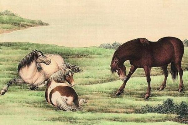 1954年生肖马命运解析，活力四射，但需防酒色误事-方知甜