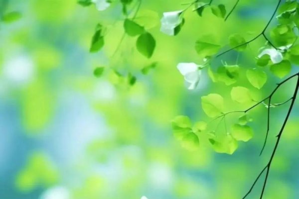 2021年9月8日五行穿衣指南，绿色白贵人色提升气场，黄色幸运装助力机遇。-方知甜