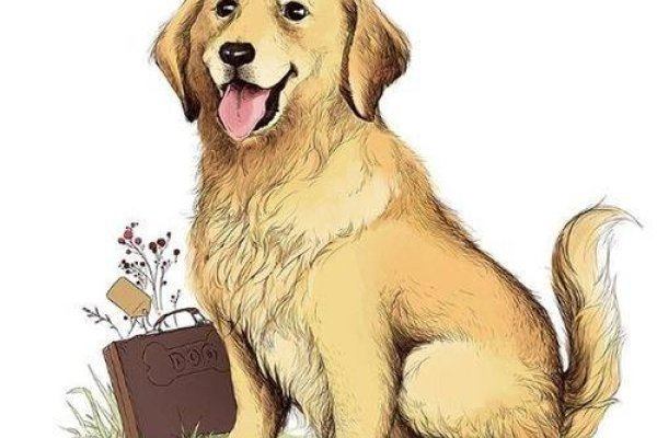 1982年属狗人，水命之年，需平衡冲动与变通-方知甜