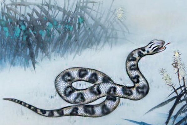 1977年属蛇人的命运,那一段风云变幻的旅程-方知甜