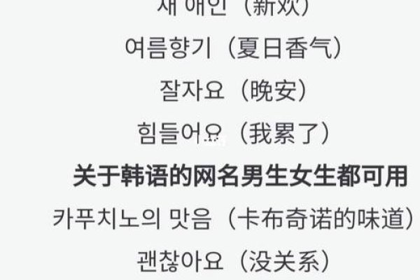 EXO粉丝的独特风采，探索那些充满创意的EXO网名-方知甜