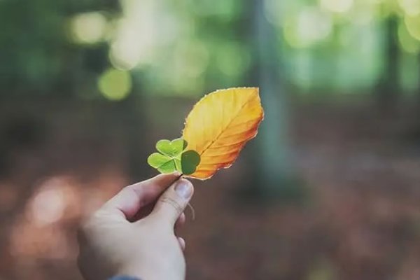 2023年属马，挑战与机遇并存的转折之年-方知甜