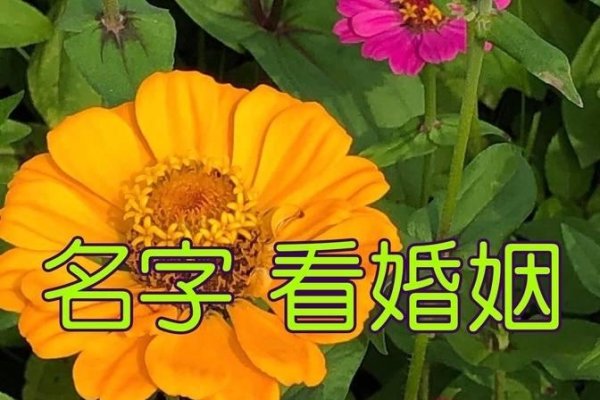 筱汐奕、赵棠悦，名字寓意与生肖契合-方知甜