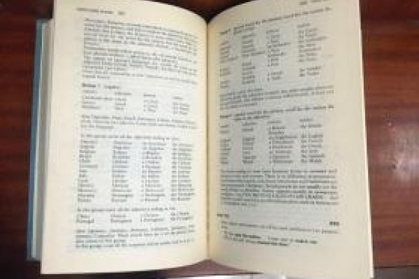 Benjamin，姓名之外的多重用法与读音解析-方知甜