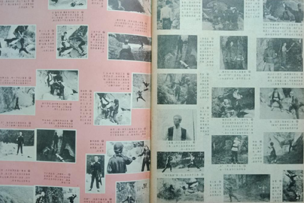揭秘1985年属相之谜，那一年，你属于哪个生肖？-方知甜