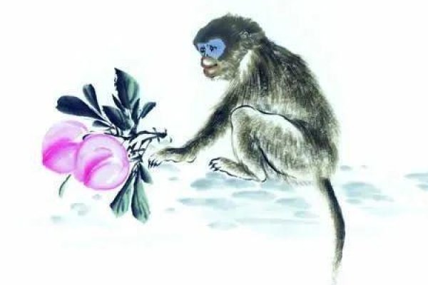 2013年属猴人，机遇与挑战并存，健康需注意-方知甜