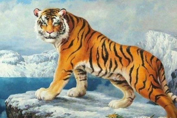 2015年属虎人，感情顺遂，事业挑战与机遇并存-方知甜