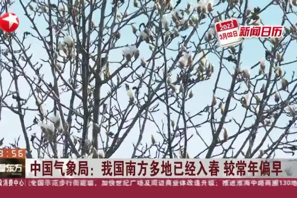 2023年打春时间揭晓，把握春日新气象-方知甜