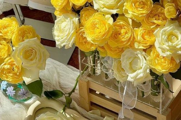 韩系ins风，SereneSeoul，优雅平静的都市之花-方知甜