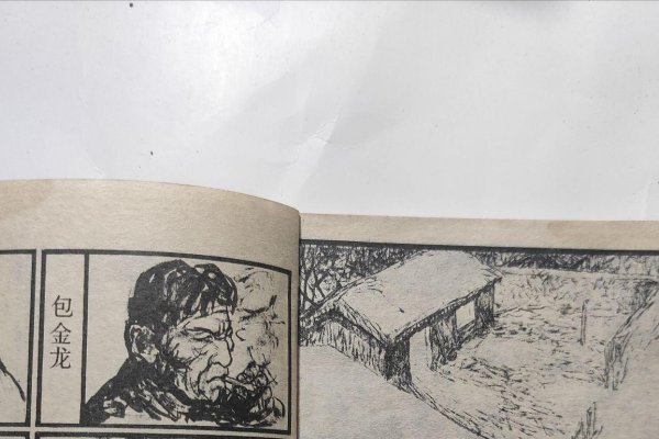 1986年属虎人2025年的冒险与收获-方知甜