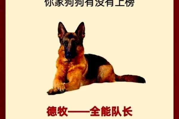 赤胆忠心，生肖狗的忠诚象征与勇敢精神-方知甜