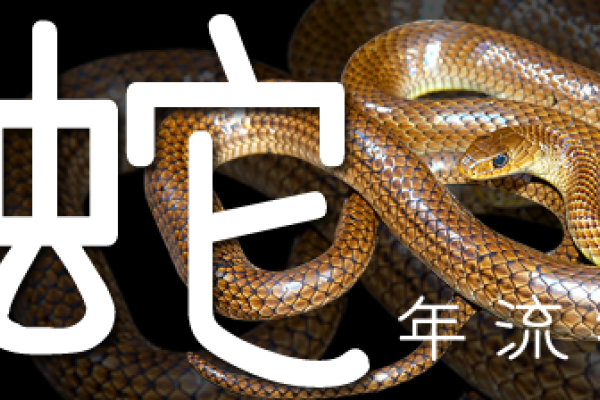 2013年生肖蛇，聪明伶俐，注意犯太岁影响-方知甜