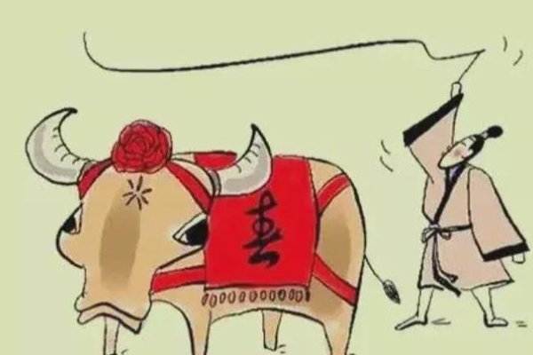 2024打春躲春属相，忌讳与应对策略-方知甜