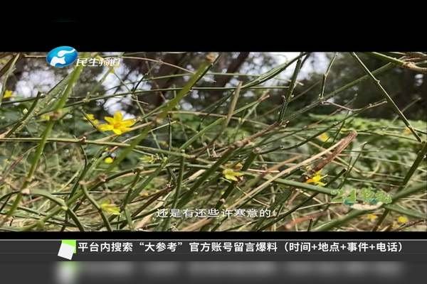 2020年惊蛰的日期，春回大地的节气时刻-方知甜