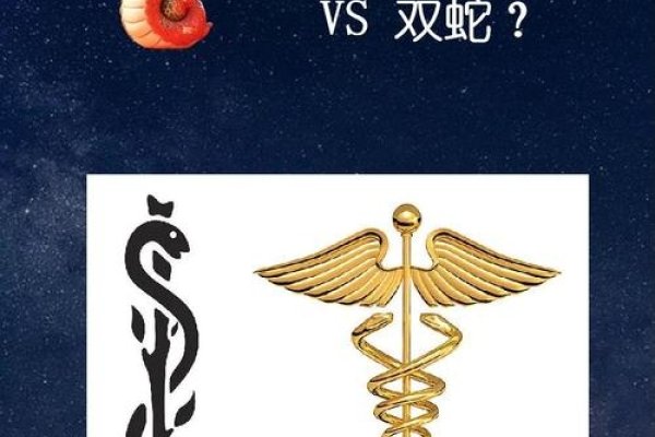 灵丹妙药对应生肖蛇，揭秘其文化含义-方知甜