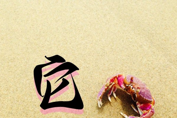 TA拼音释义及用法-方知甜